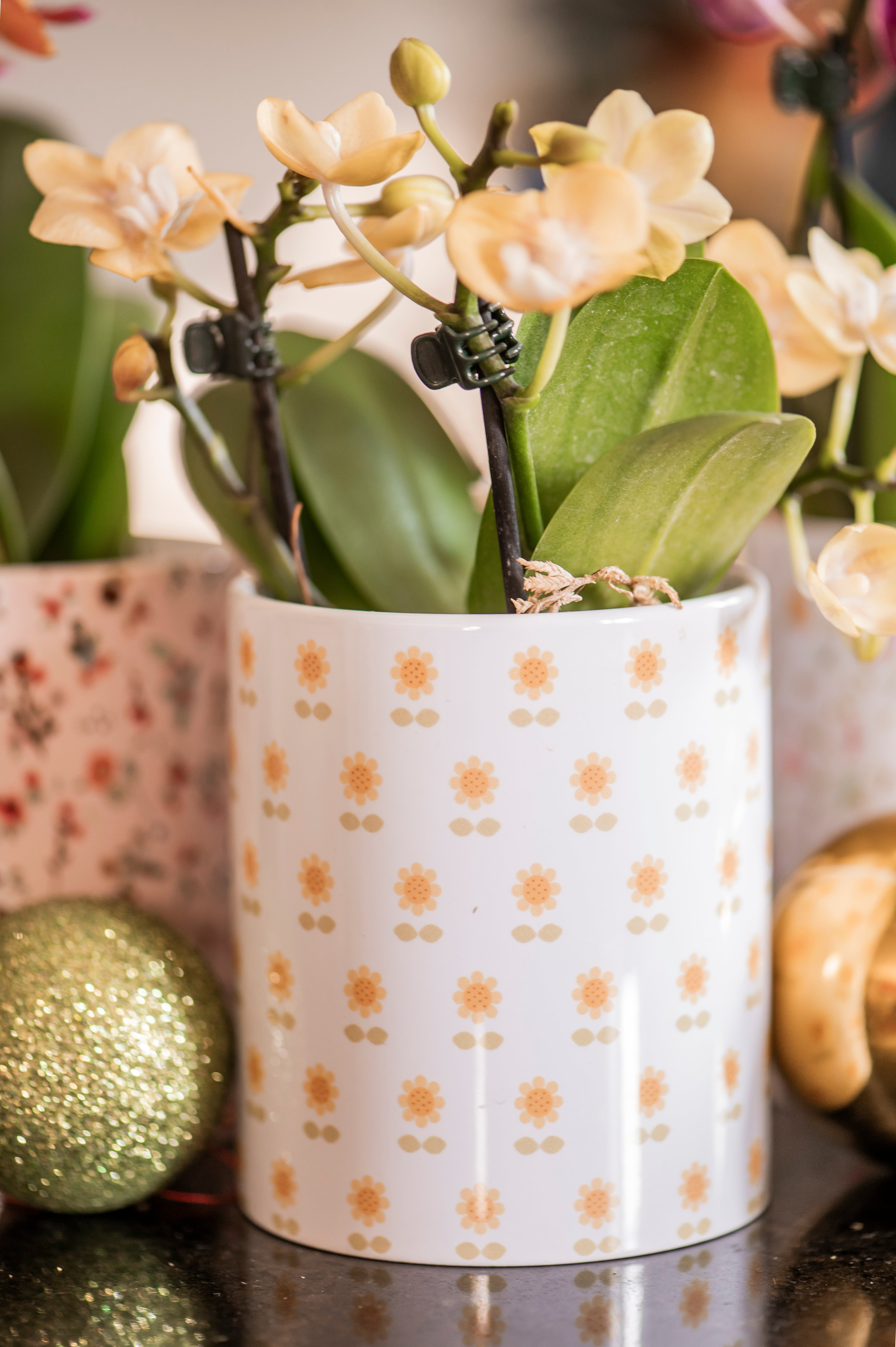 Caneca Mini Orquidea