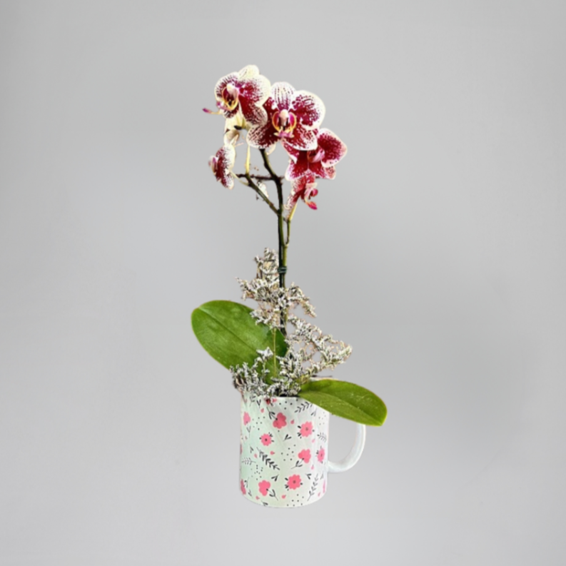 Caneca Estampada com Mini Orquidea