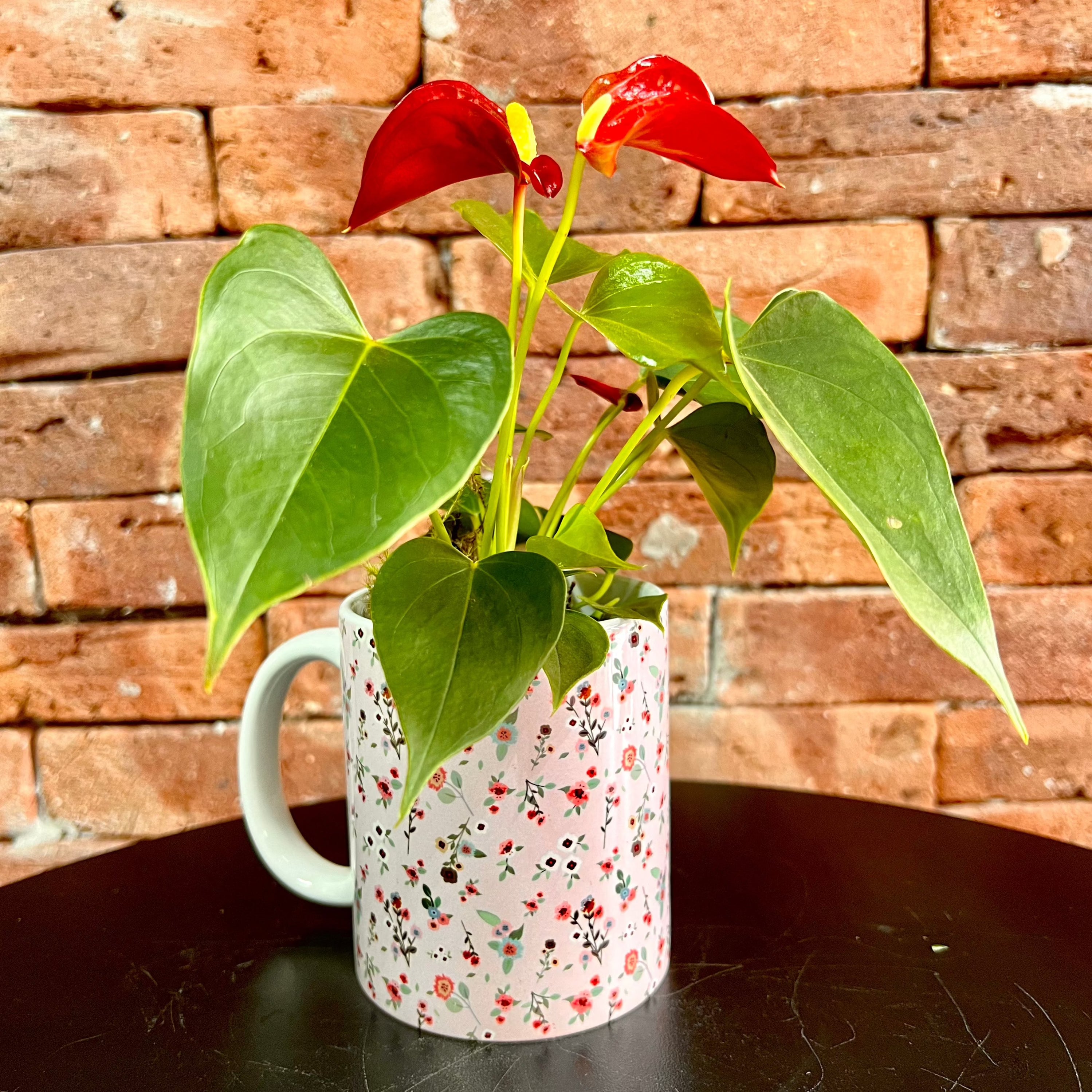 Caneca Estampada com Mini Anturium